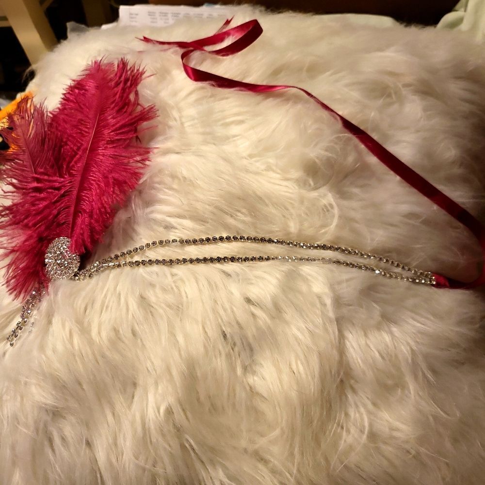 A diamond and feathered headband, that fastens with ribbons nwt
